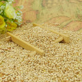 high quality white broom corn millet dry WELL POLISHED